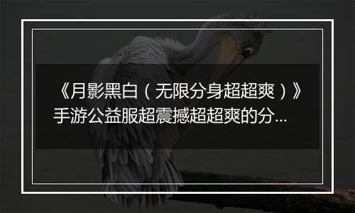 《月影黑白（无限分身超超爽）》手游公益服超震撼超超爽的分身超变版本期待您的到来！
