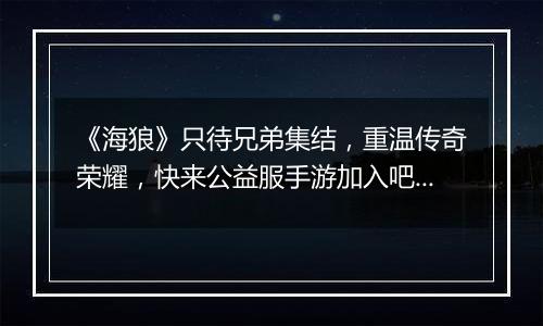 《海狼》只待兄弟集结，重温传奇荣耀，快来公益服手游加入吧！