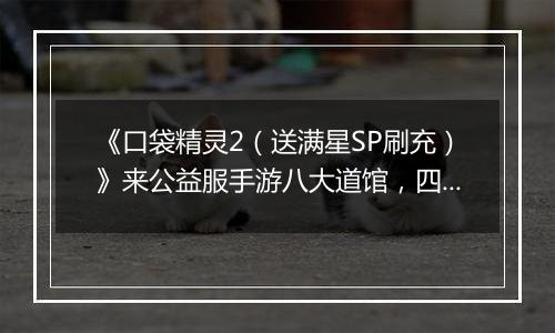 《口袋精灵2（送满星SP刷充）》来公益服手游八大道馆，四大天王等你来战！