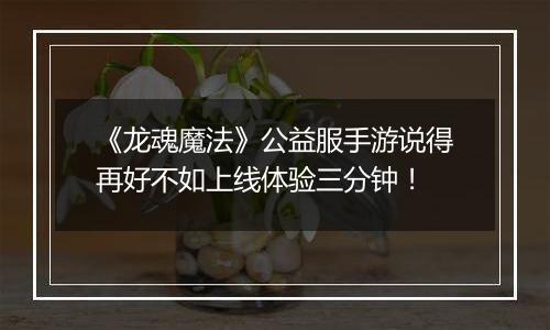 《龙魂魔法》公益服手游说得再好不如上线体验三分钟！
