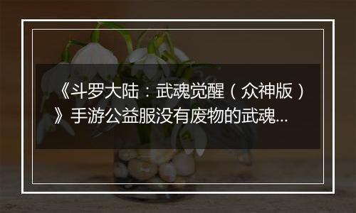 《斗罗大陆：武魂觉醒（众神版）》手游公益服没有废物的武魂，只有废物的魂师！