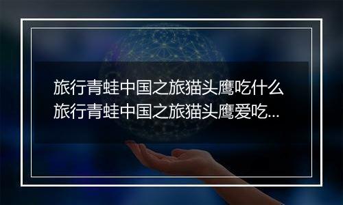 旅行青蛙中国之旅猫头鹰吃什么 旅行青蛙中国之旅猫头鹰爱吃食物一览