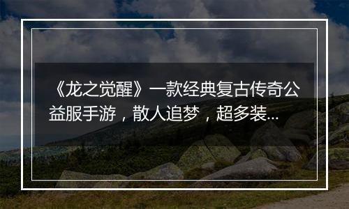 《龙之觉醒》一款经典复古传奇公益服手游，散人追梦，超多装备！