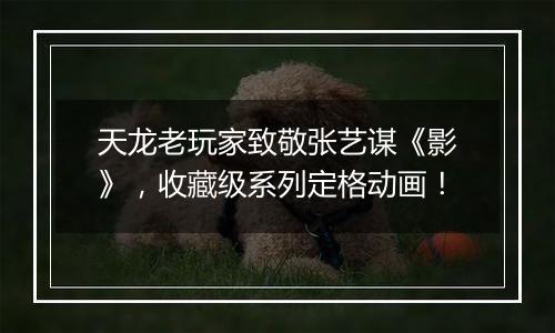天龙老玩家致敬张艺谋《影》，收藏级系列定格动画！
