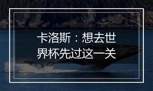 卡洛斯：想去世界杯先过这一关