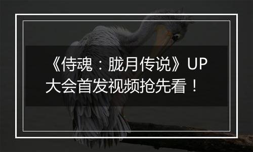 《侍魂：胧月传说》UP大会首发视频抢先看！