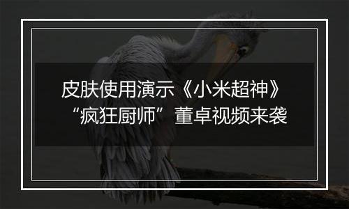 皮肤使用演示《小米超神》“疯狂厨师”董卓视频来袭