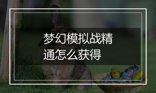 梦幻模拟战精通怎么获得