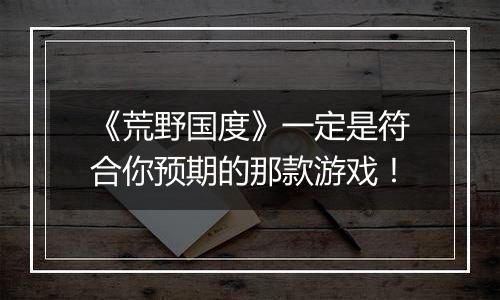 《荒野国度》一定是符合你预期的那款游戏！