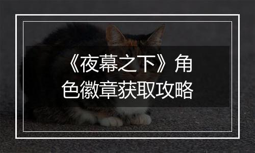 《夜幕之下》角色徽章获取攻略