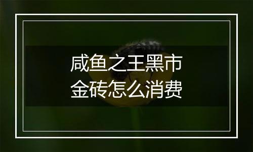 咸鱼之王黑市金砖怎么消费