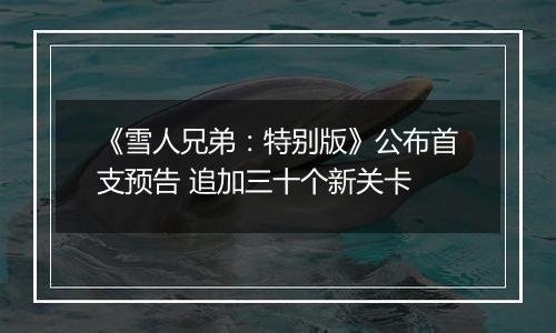 《雪人兄弟：特别版》公布首支预告 追加三十个新关卡