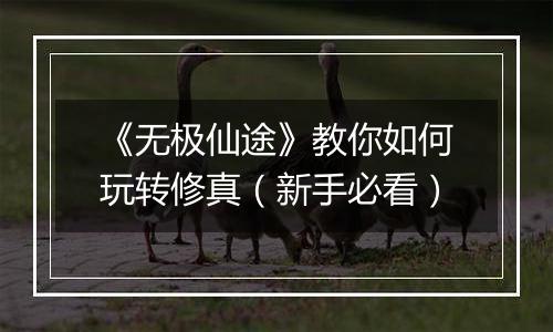 《无极仙途》教你如何玩转修真（新手必看）