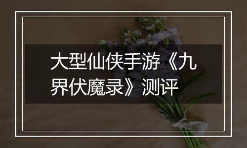 大型仙侠手游《九界伏魔录》测评