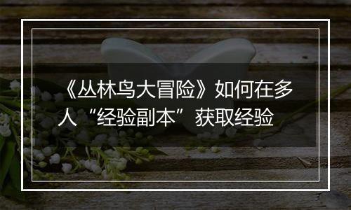 《丛林鸟大冒险》如何在多人“经验副本”获取经验