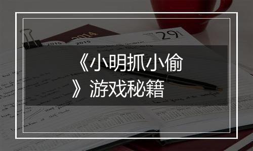 《小明抓小偷》游戏秘籍
