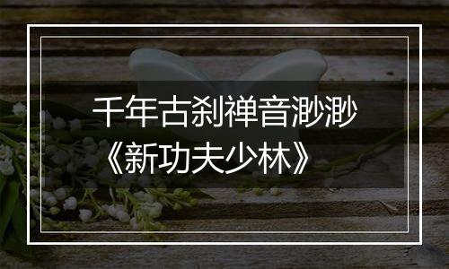 千年古刹禅音渺渺《新功夫少林》