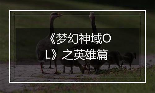 《梦幻神域OL》之英雄篇