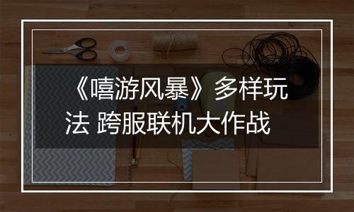 《嘻游风暴》多样玩法 跨服联机大作战