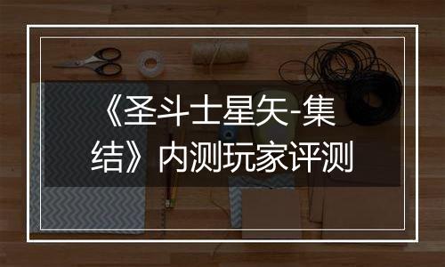 《圣斗士星矢-集结》内测玩家评测