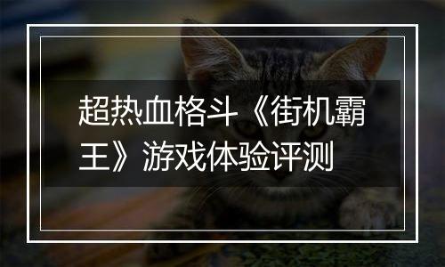 超热血格斗《街机霸王》游戏体验评测