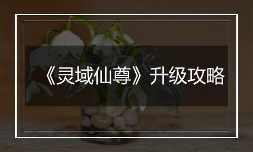 《灵域仙尊》升级攻略