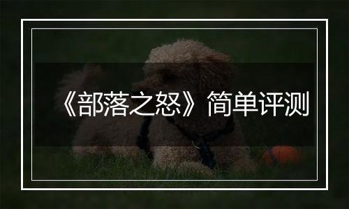 《部落之怒》简单评测