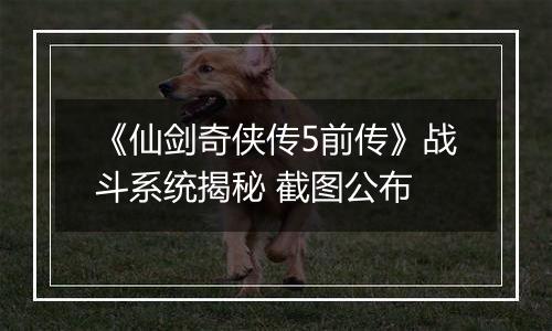 《仙剑奇侠传5前传》战斗系统揭秘 截图公布