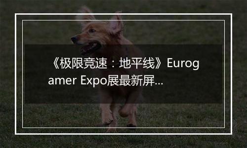 《极限竞速：地平线》Eurogamer Expo展最新屏摄