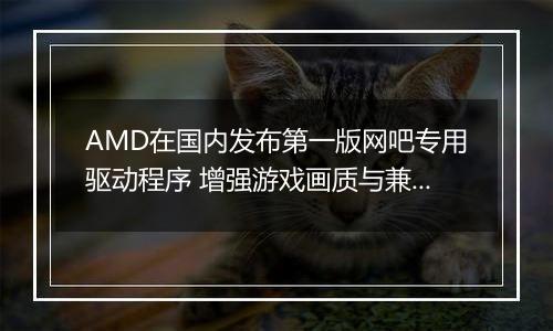 AMD在国内发布第一版网吧专用驱动程序 增强游戏画质与兼容性