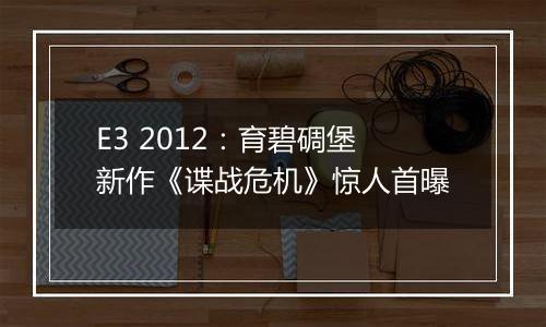 E3 2012：育碧碉堡新作《谍战危机》惊人首曝