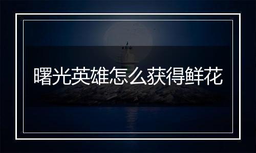 曙光英雄怎么获得鲜花