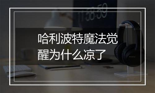 哈利波特魔法觉醒为什么凉了