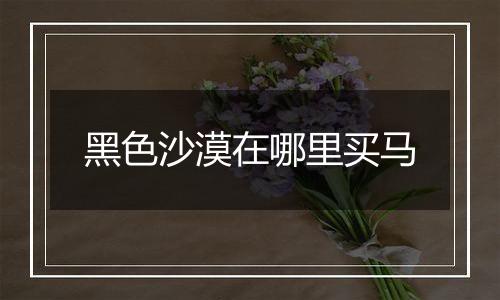 黑色沙漠在哪里买马