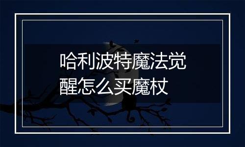 哈利波特魔法觉醒怎么买魔杖