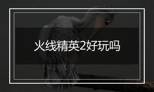 火线精英2好玩吗