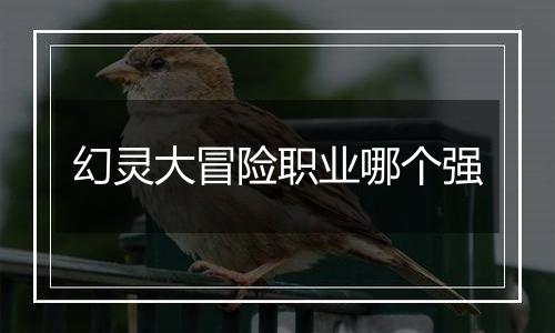 幻灵大冒险职业哪个强