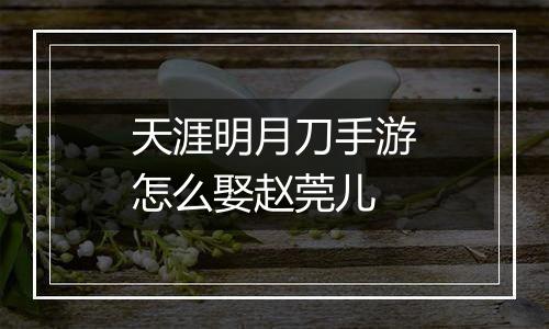 天涯明月刀手游怎么娶赵莞儿