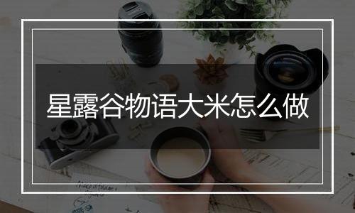 星露谷物语大米怎么做