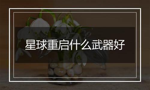 星球重启什么武器好