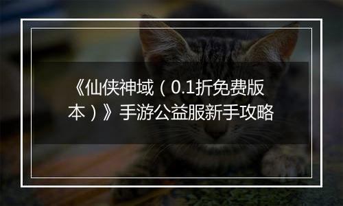 《仙侠神域（0.1折免费版本）》手游公益服新手攻略