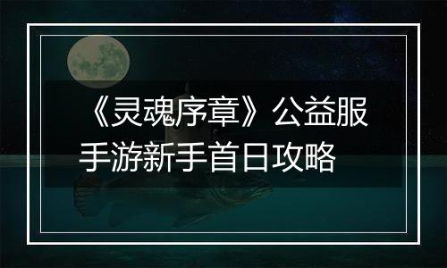 《灵魂序章》公益服手游新手首日攻略