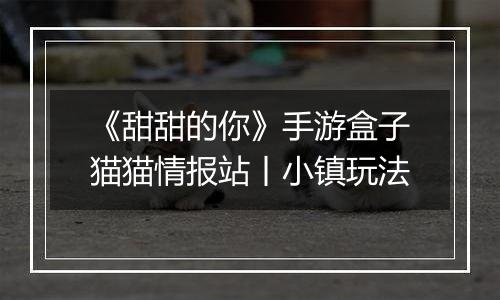 《甜甜的你》手游盒子猫猫情报站丨小镇玩法