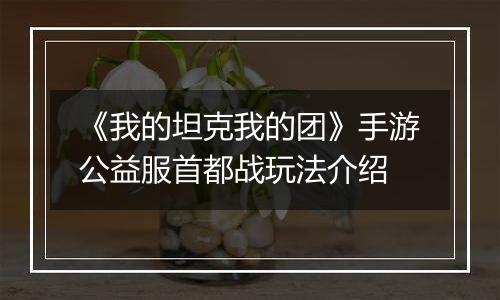 《我的坦克我的团》手游公益服首都战玩法介绍