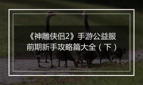 《神雕侠侣2》手游公益服前期新手攻略篇大全（下）