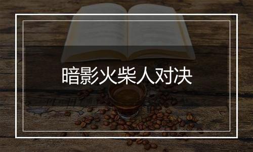 暗影火柴人对决