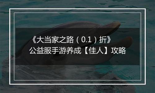 《大当家之路(0.1)折》公益服手游养成【佳人】攻略