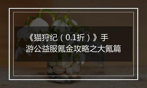 《猫狩纪（0.1折）》手游公益服氪金攻略之大氪篇