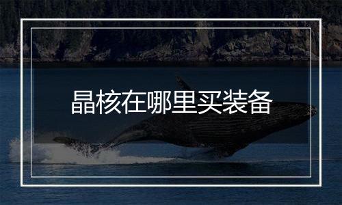 晶核在哪里买装备