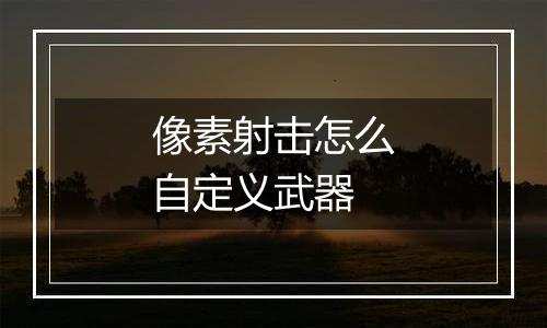 像素射击怎么自定义武器